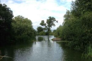 Mount Pleasant Farm Fishery